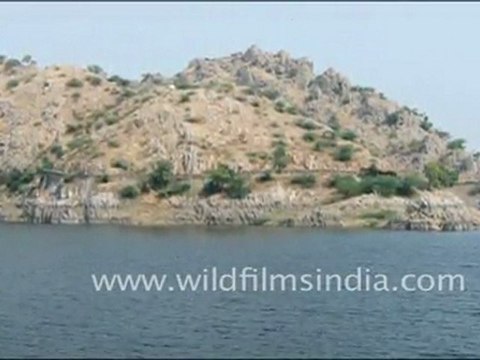 Statue of Elephant at Jaisamand Lake, Udaipur