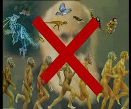 Yaşayan fosiller: Çınar yaprağı