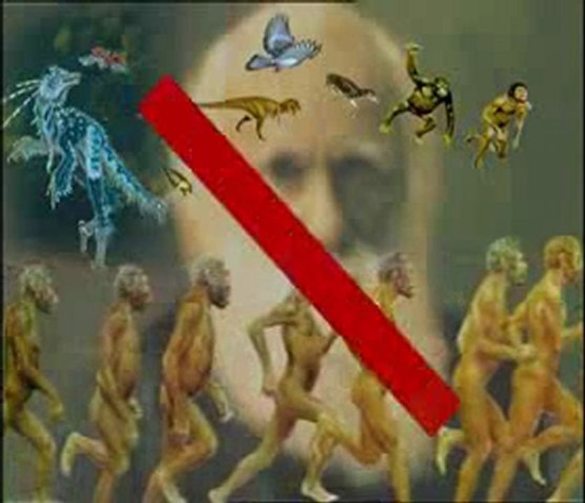 Yaşayan fosiller: Istakoz