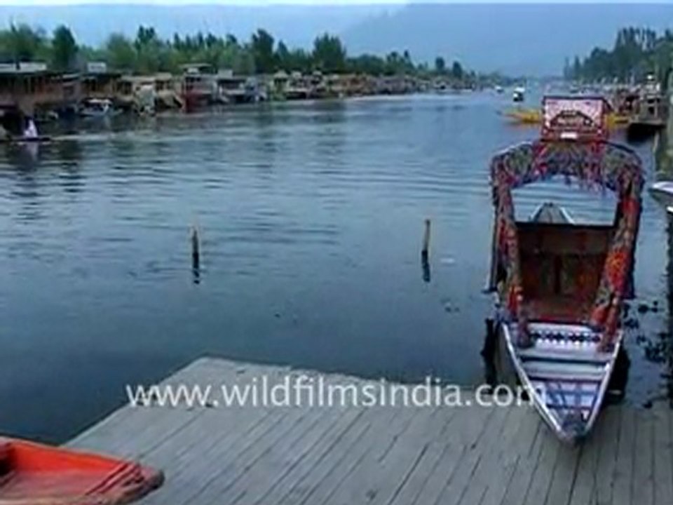 Shikara ride across Srinagar's Dal Lake