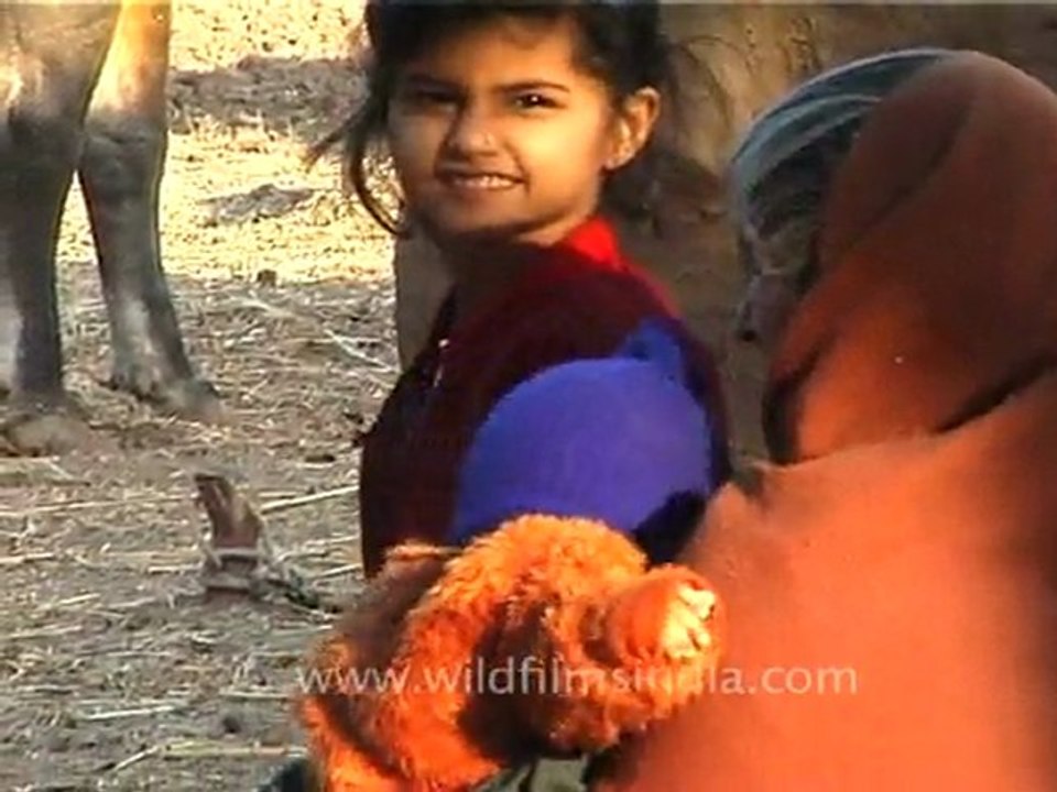 Village in Gujarat