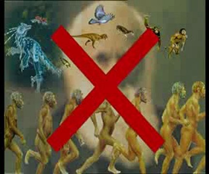 Yaşayan fosiller: Kaplumbağa