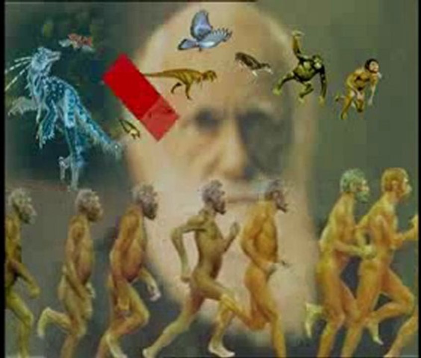 Yaşayan fosiller: Kaplan kafatası