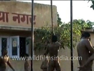 Kushti or Indian wrestling!