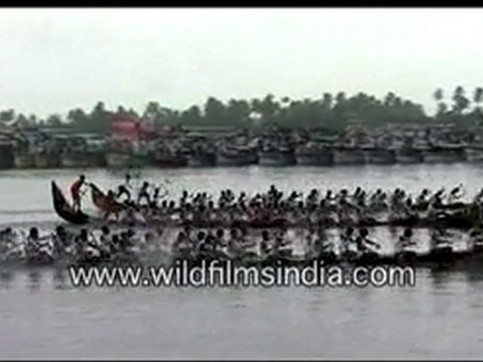 Snake Boat Race