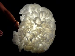 Fourmis Bleues - Montage Ouka - Moo'v Deco System