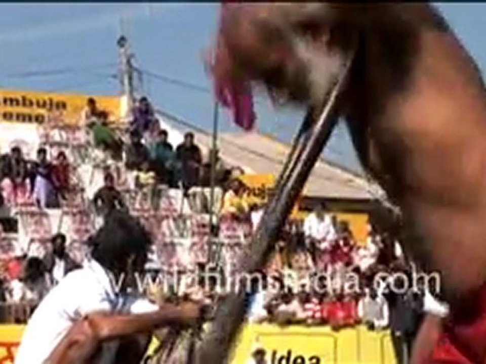 Rural Olympics, Punjab