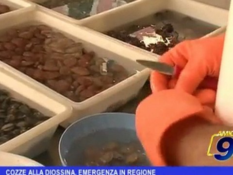 Regione Puglia | Cozze alla diossina, emergenza in regione