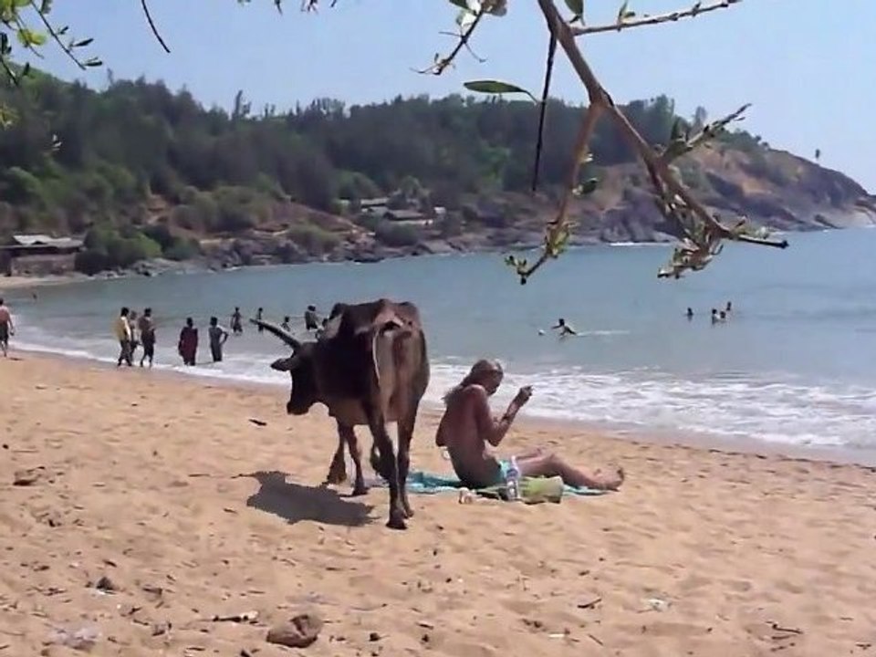 Holy Cow Strand-Spaß