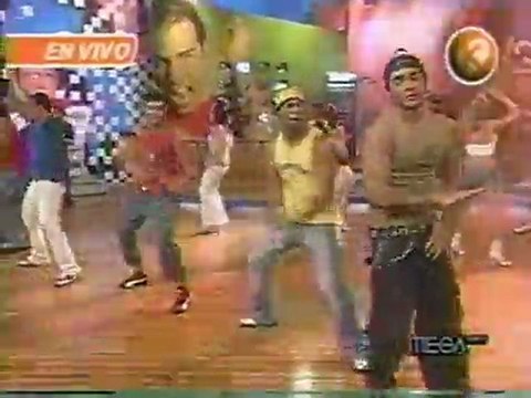 MEKANO Team mekano - La gata 2004