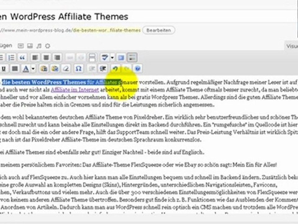 Artikel erstellen mit Wordpress und SEO optimieren
