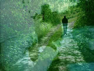 Erasmo Carlos - Sentado à Beira do Caminho