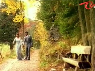 Ullasam - Viche Galullo - Vikram - Maheswari - Telugu Song