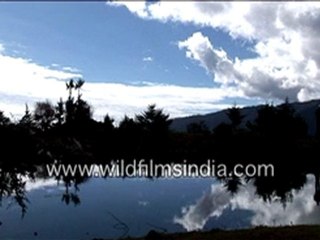 Clouds Reflecting on Water