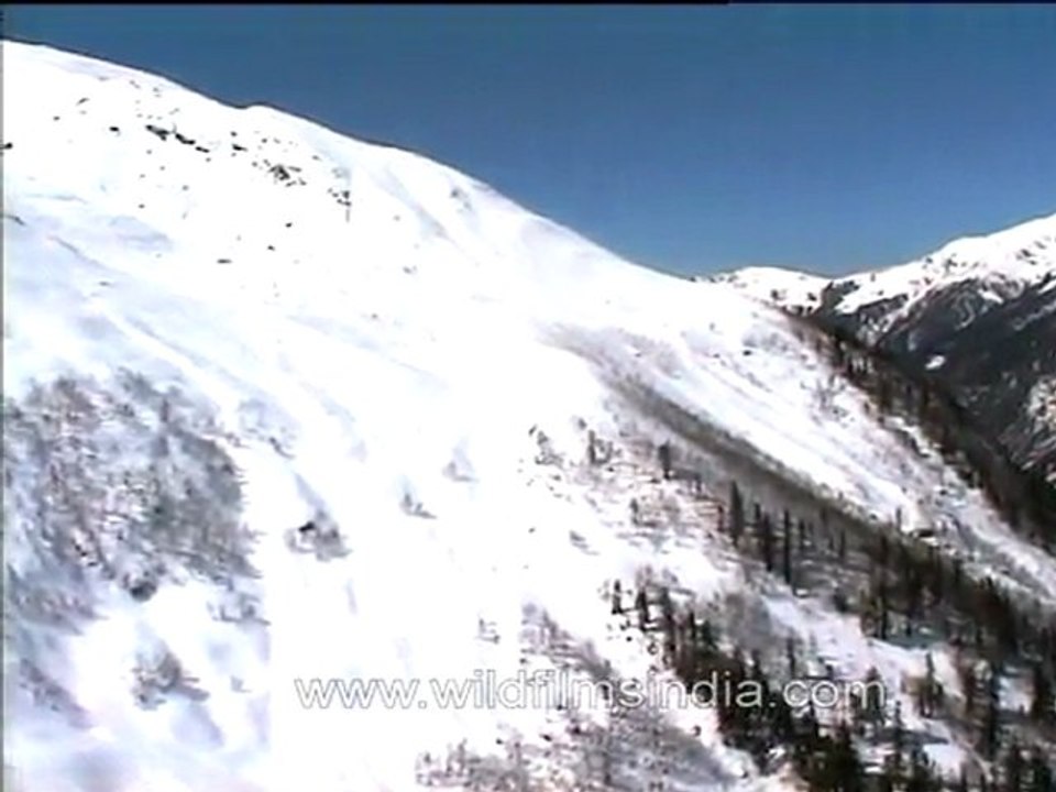 Himachal Pradesh - A view from the top