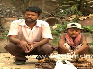 Sieving honey from honeycomb