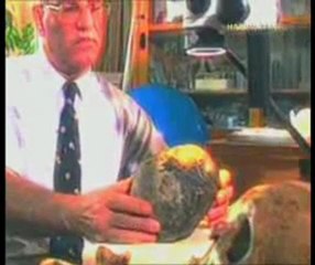 30 yıl boyunca aldatılan bilim dünyası