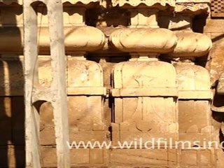 Old building in Gujarat