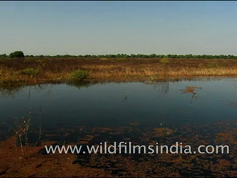 Landscapes of Bharatpur