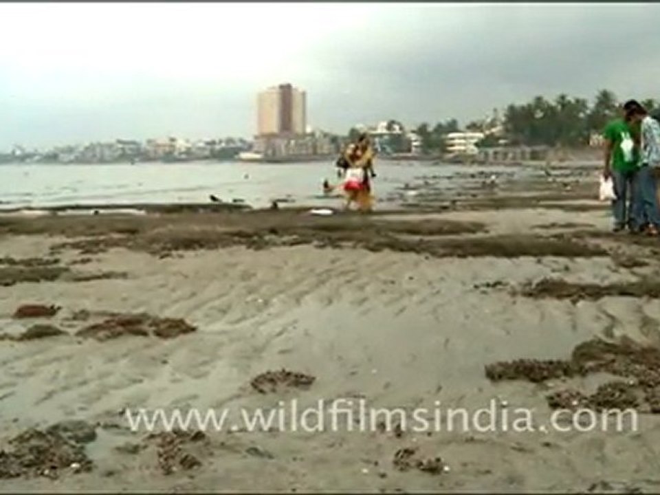 Idols Immersed, Mumbai