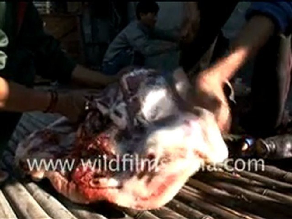 Apatani cooking pig