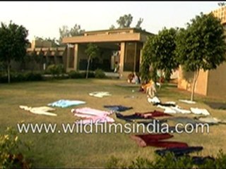 Drying Clothes in the Sun TIHAR