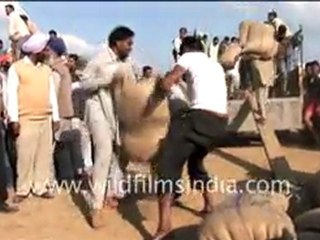 Sand bag unloading competition!