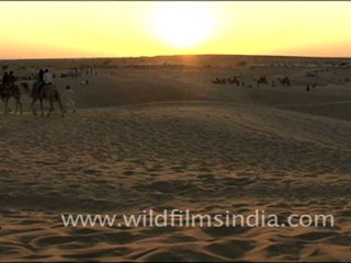 Camel Safari - Sam sand dunes