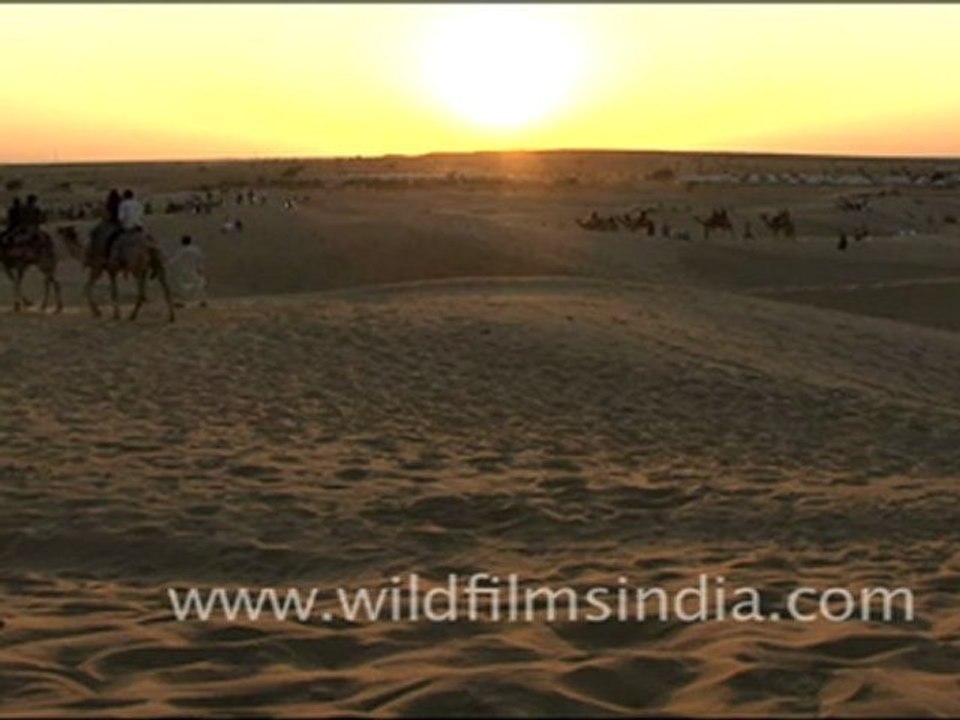 Camel Safari - Sam sand dunes