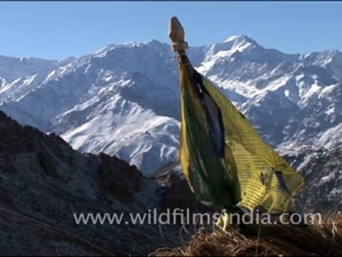 Prayer Flags in Ladakh