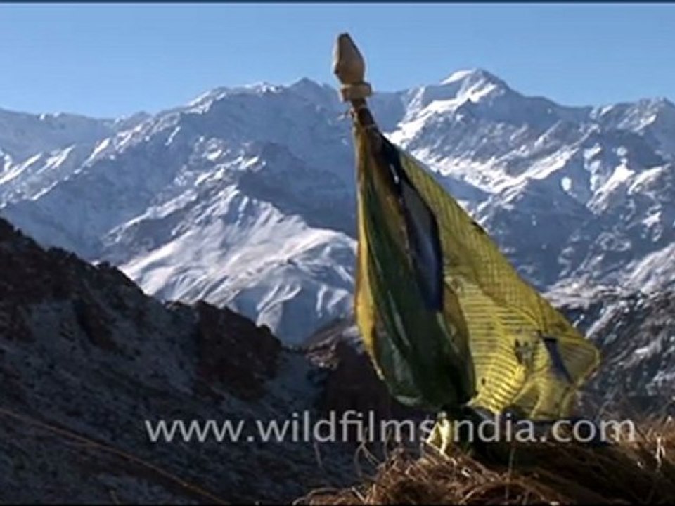 Prayer Flags in Ladakh