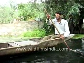 Dal lake in Srinagar