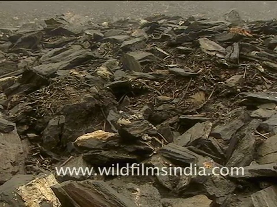 Skulls and bones at Roopkund lake!