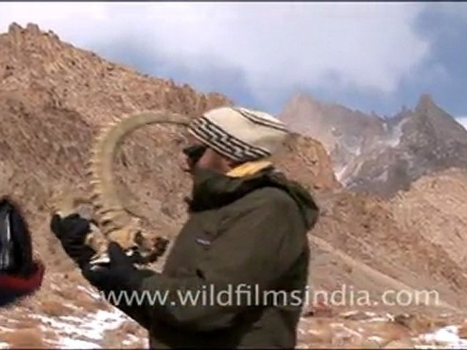 Landscapes of Ladakh