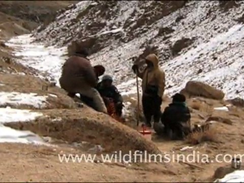 Ladakh in winters