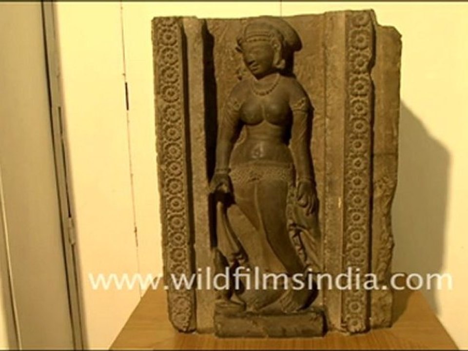 Patna Museum, Bihar