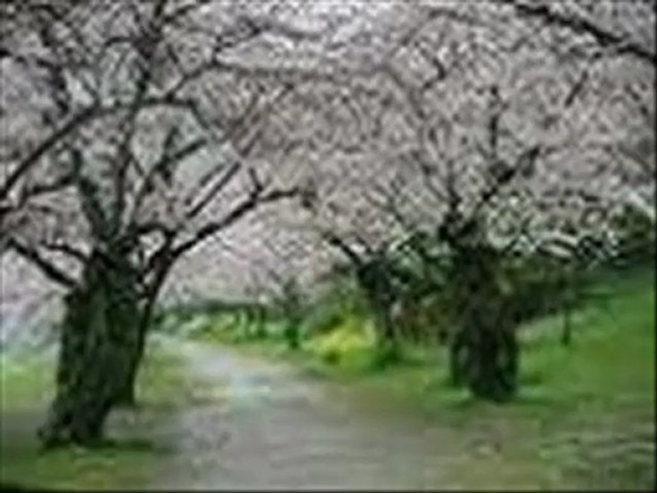 WALKING IN THE RAIN ↝ TBNYD13