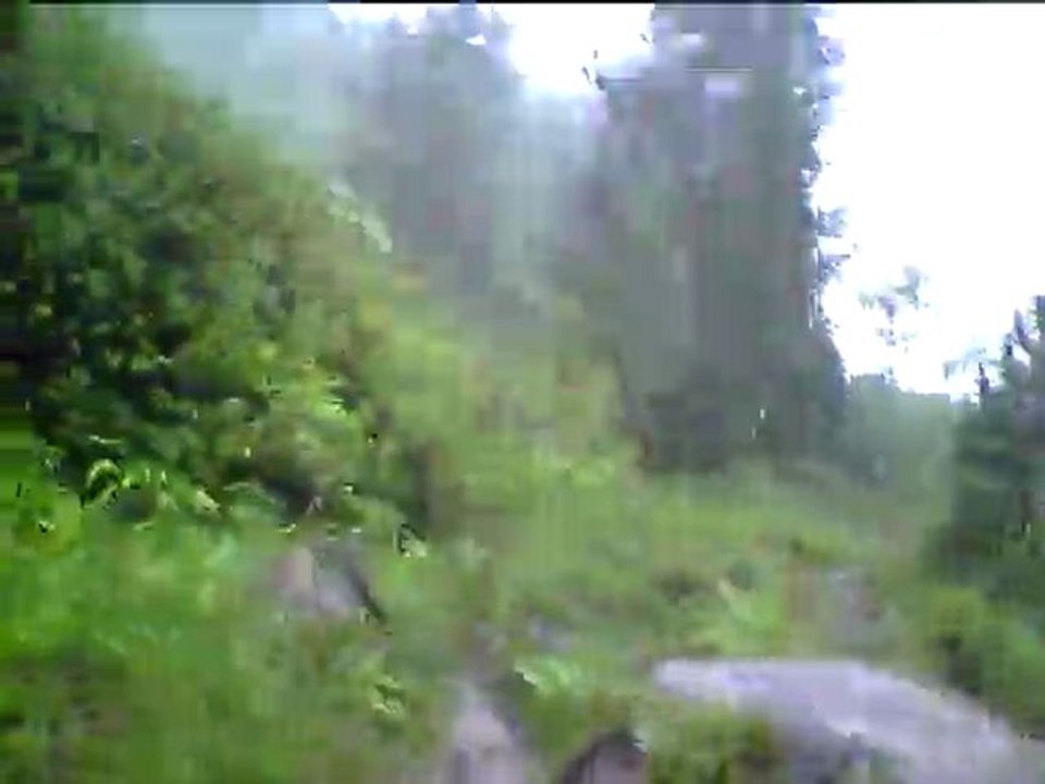 Course dans la forêt