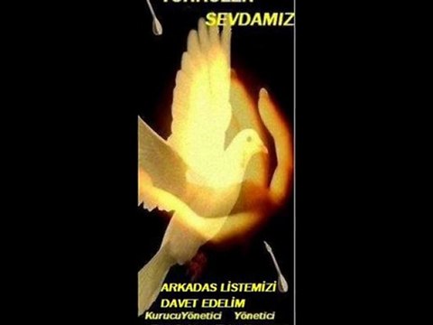 AŞİR ÖZEK GİDEK SILAYA