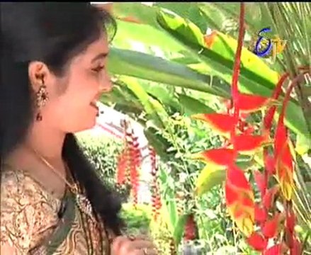 Abhiruchi - Recipes - Gobi Beerakaya, Bread Pakoda & Corn Beerakaya Curry - 03