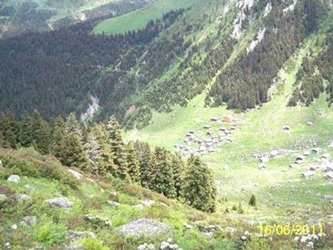 Amlakit yaylası Mahmut Turan hemşin horanı-kavrun.tr.gg