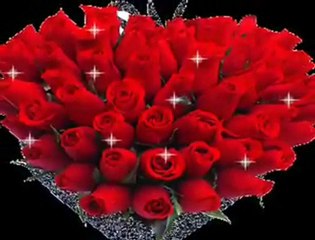 türküler GÜL ve SEN (Y.JANUARY)