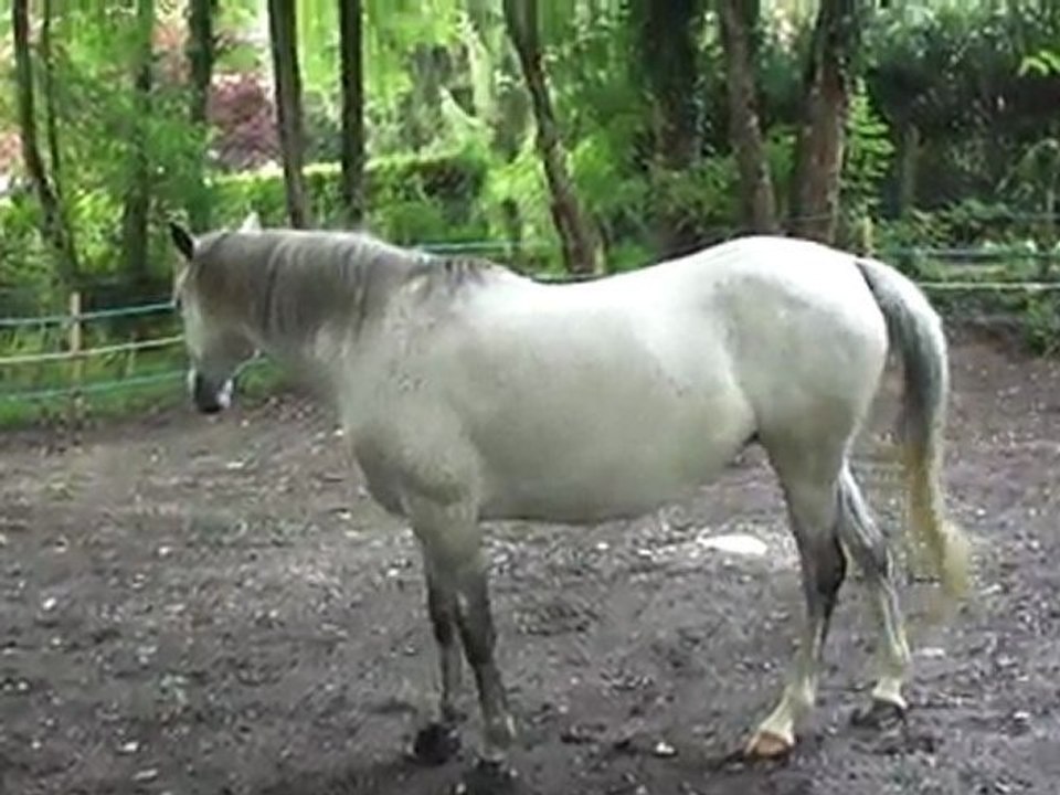 Papaille avec les cloches ! :)