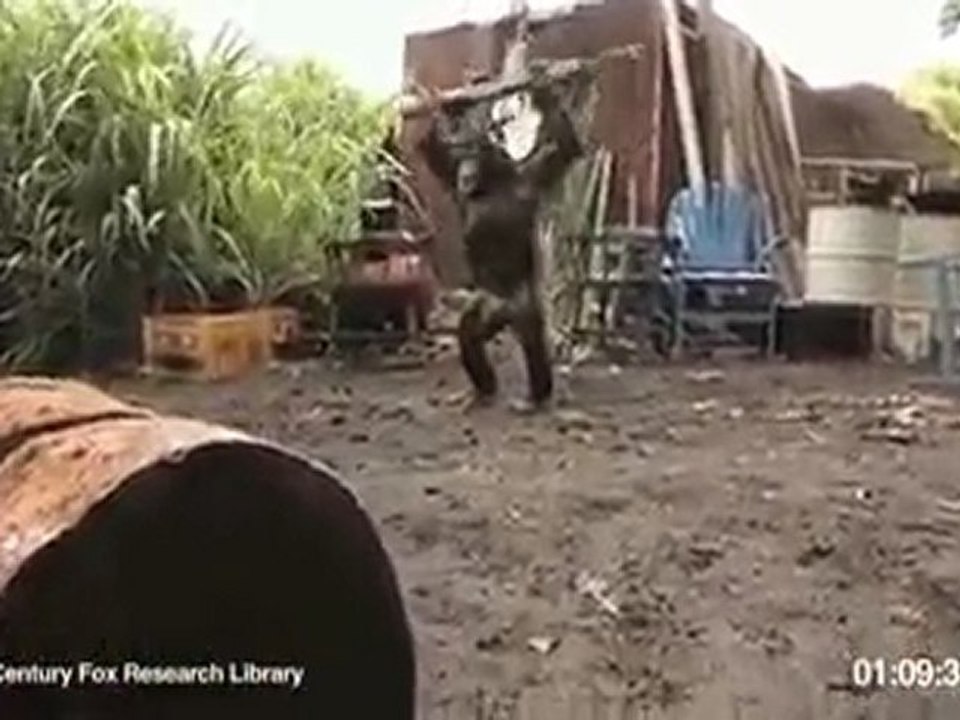 Qui c'est le plus fort