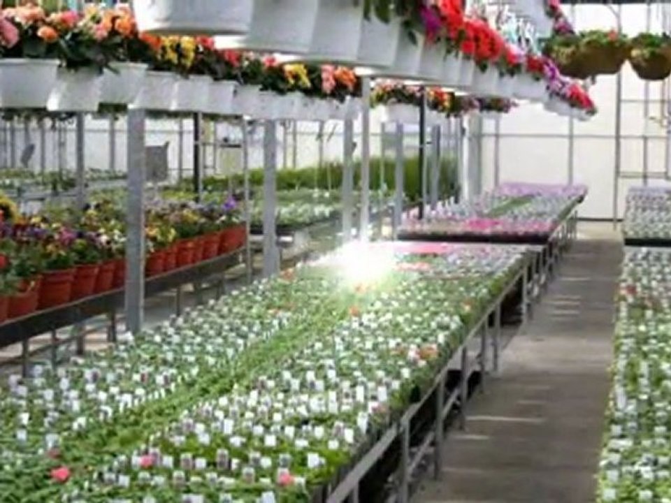 Grabpflege Freiburg Im Breisgau Friedhofsgärtnerei Inh. ...