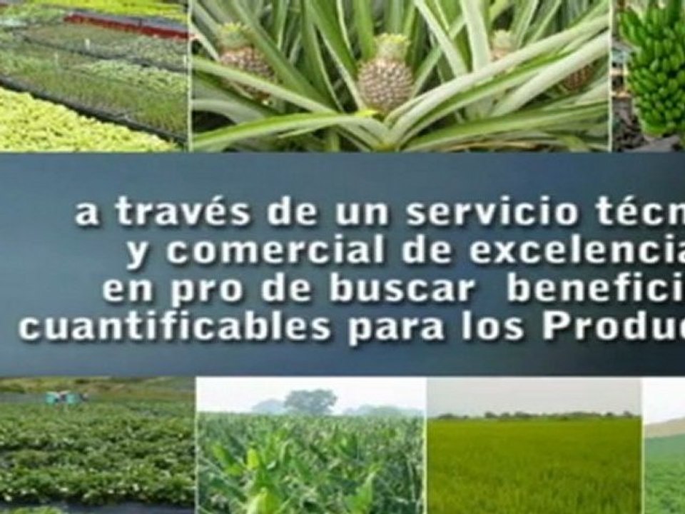 ¿Dónde comercializan insumos agrícolas?