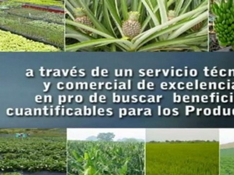 ¿Dónde comercializan insumos agrícolas?