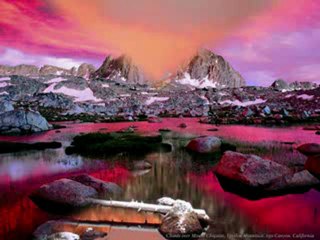 1_Million_de_Hassanattes...  (islam - hassanet)