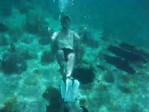 Epave à Caye Caulker