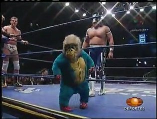 Zwerg beim Wrestling